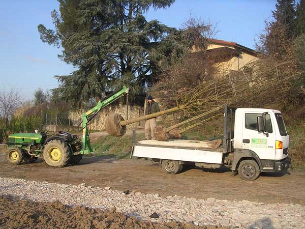 Giardino Toscana